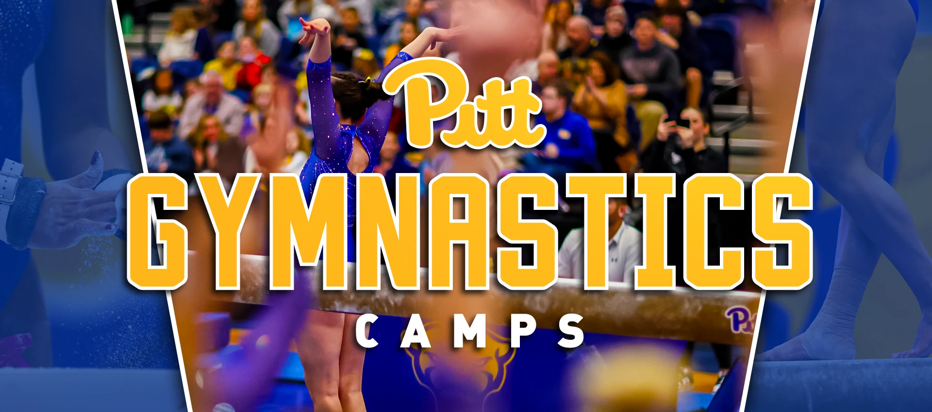 Pitt Gymnastics Camps